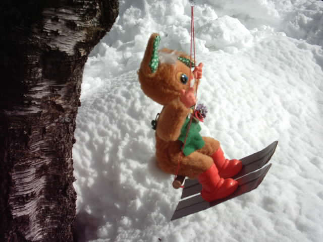 Skivergn�gen in der Fr�hlingssonne